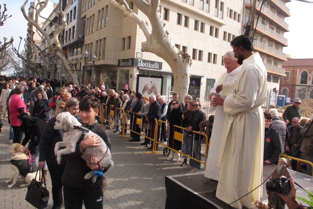 Celebración Sant Antoni 2024 en Dénia 20