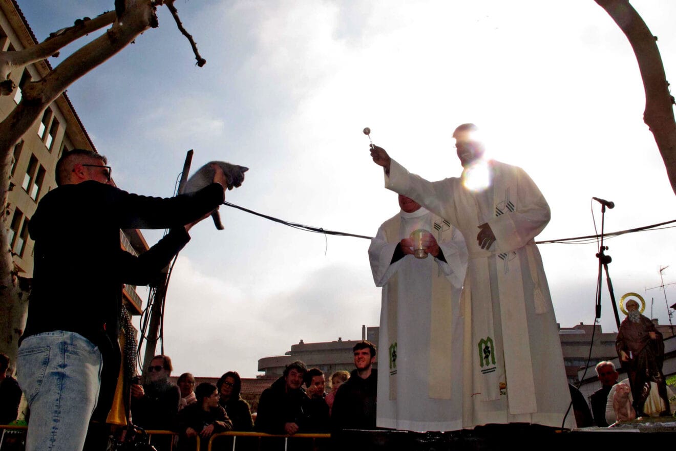 Celebración Sant Antoni 2024 en Dénia 21