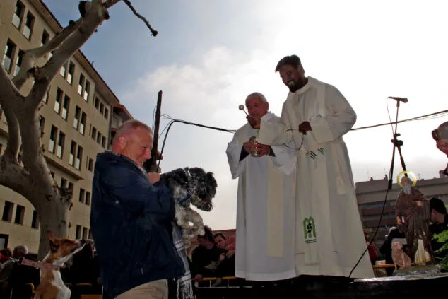 Decenas de animales son bendecidos en Sant Antoni 4 celebracion sant antoni 2024 en denia 23