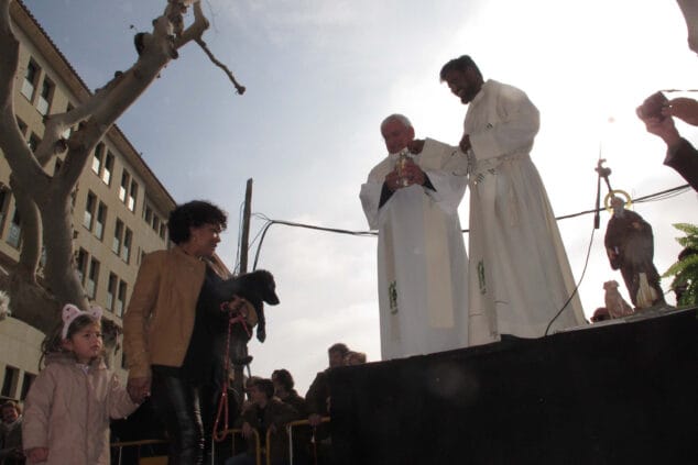 celebracion sant antoni 2024 en denia 24