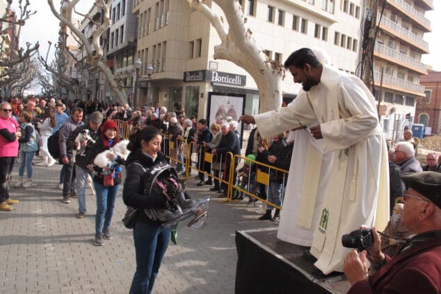 celebracion sant antoni 2024 en denia 25