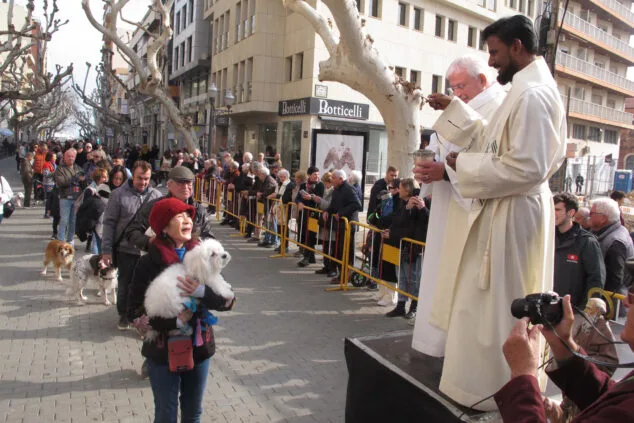 Decenas de animales son bendecidos en Sant Antoni 32 celebracion sant antoni 2024 en denia 26