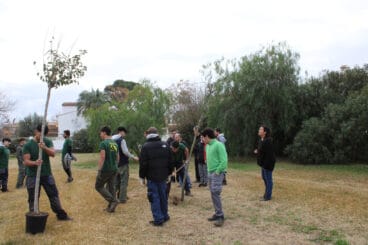 Día del Árbol en Dénia 01
