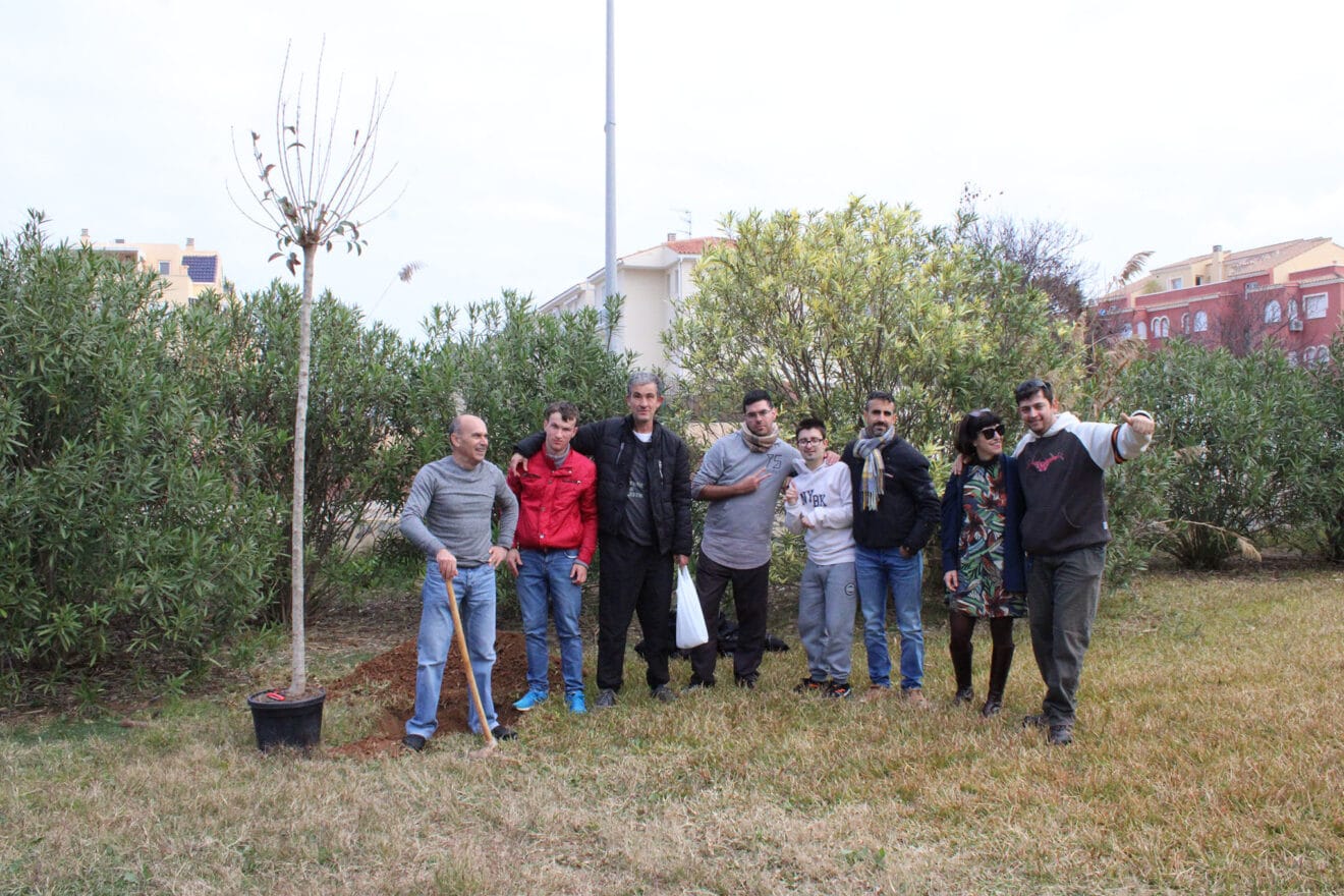 Día del Árbol en Dénia 04