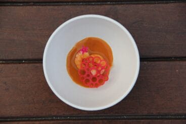 madrid fusion sostenibililidad de la gamba roja de denia