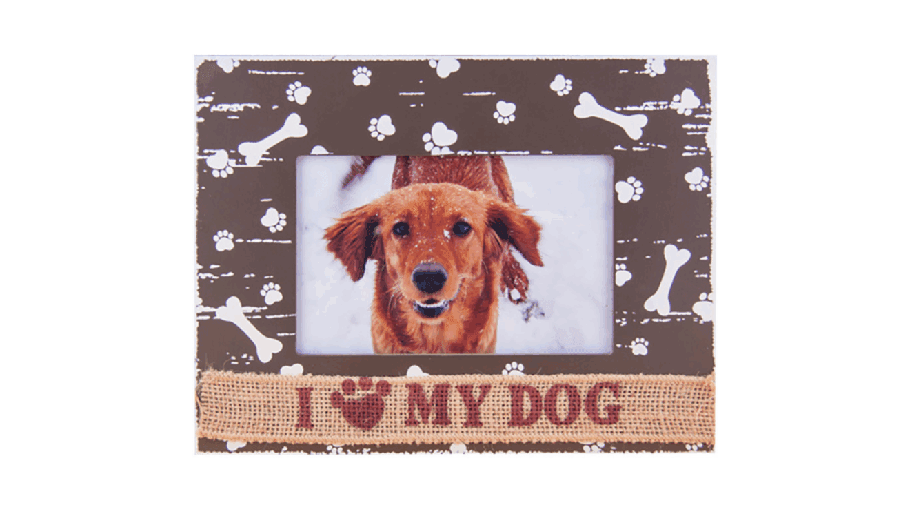 No olvides a tu mascota con este artículo