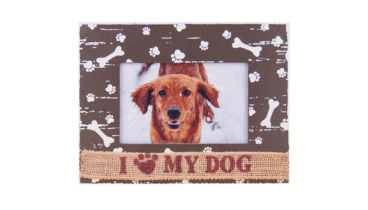 No olvides a tu mascota con este artículo