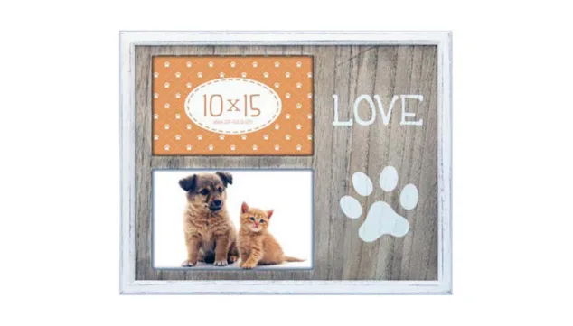 portafotos ideales para recordar con tus mascotas