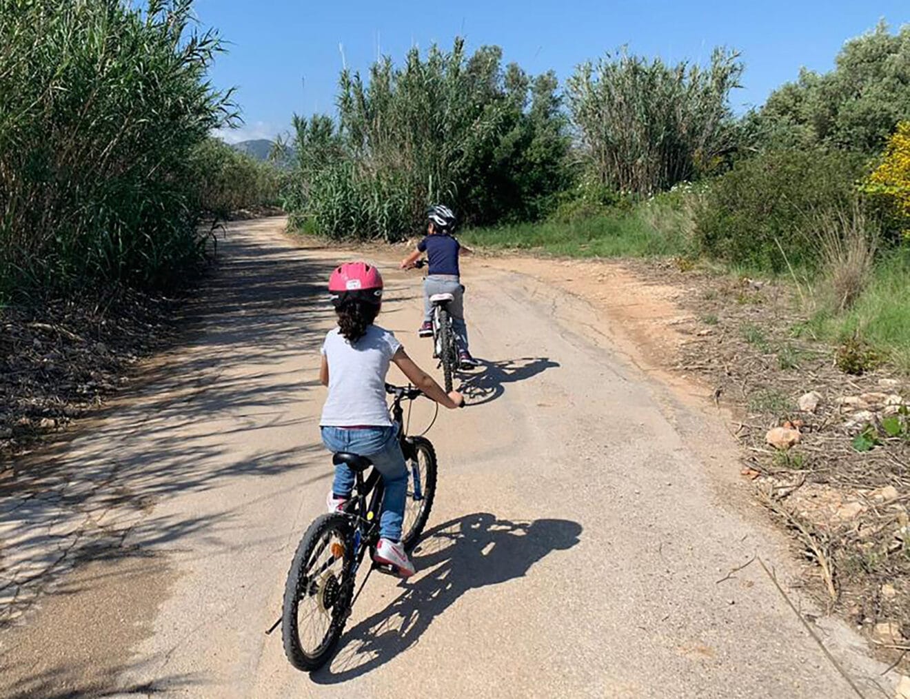 Niños realizando una ruta