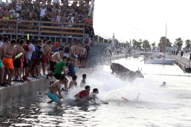 Bild: Stier fällt während des Bous a la Mar de Dénia ins Wasser
