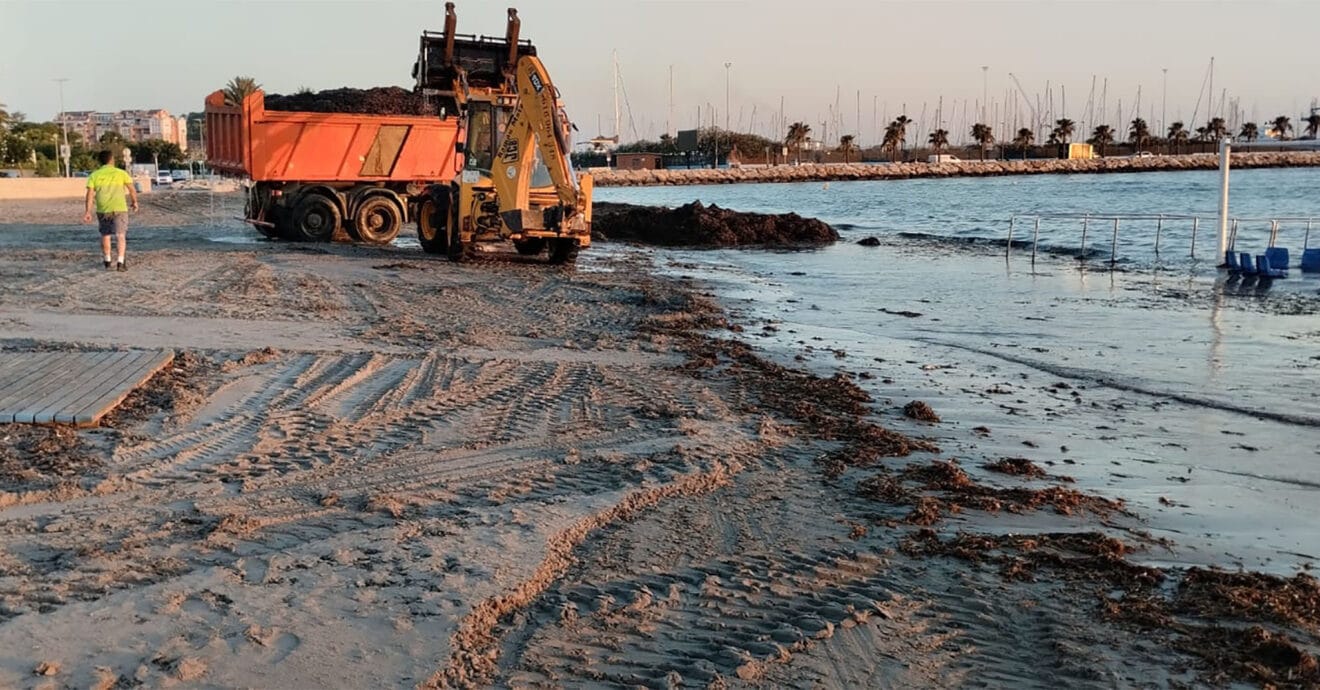 Trabajos de limpieza en la playa de Dénia