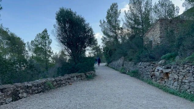 Imagen: Camino de la ruta a la Cova del Gamell