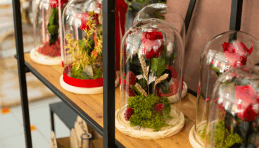 Descubre rosas eternas en bonitas cúpulas de cristal