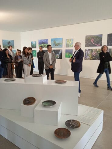 El arte de la posidonia