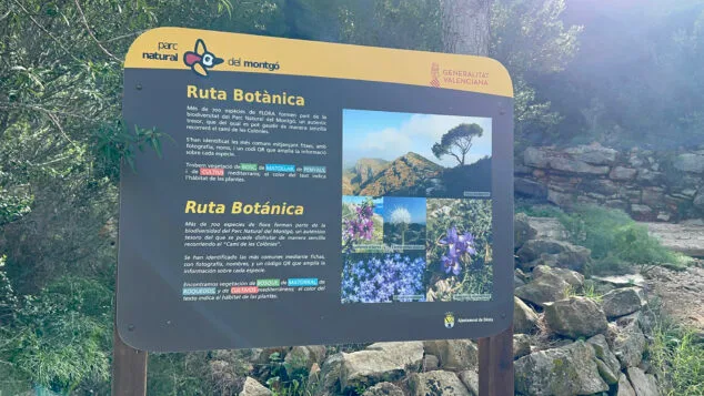 ruta botanica