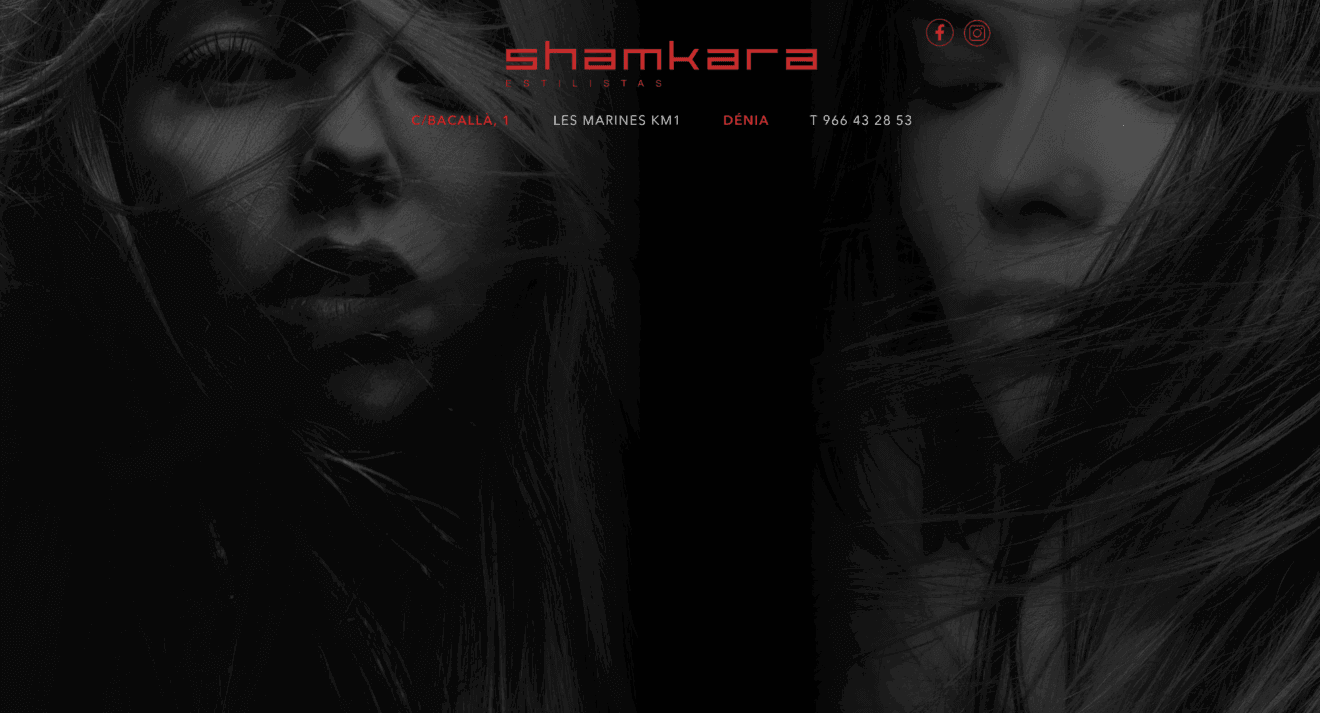 shamkara-skin