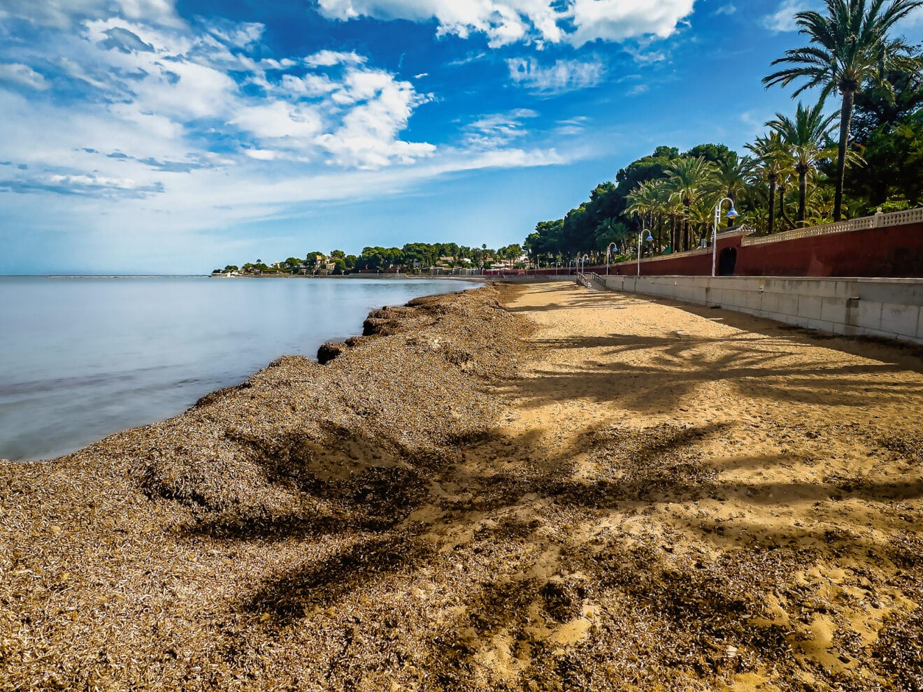 Sombras en la posidonia