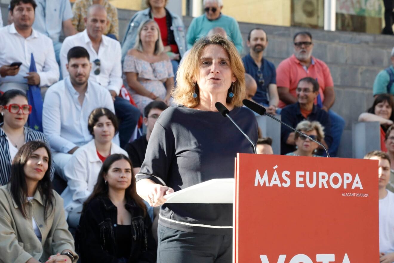 Acto de campaña para las europeas del PSOE en Dénia 25