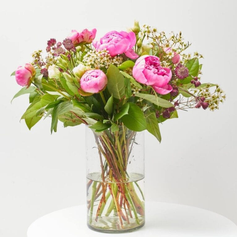Claveles, rosas o margaritas, entre otras, para regalar