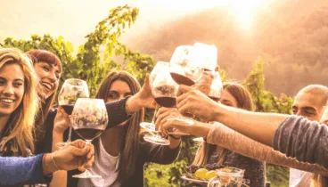 Degusta los mejores vinos de la zona