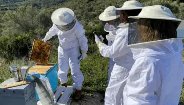 Diviértete con las actividades  de Experiencias Costa Blanca