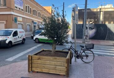 nuevo olivo de denia en patricio ferrandiz