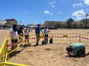 Se descarta la presencia de nidos en la playa