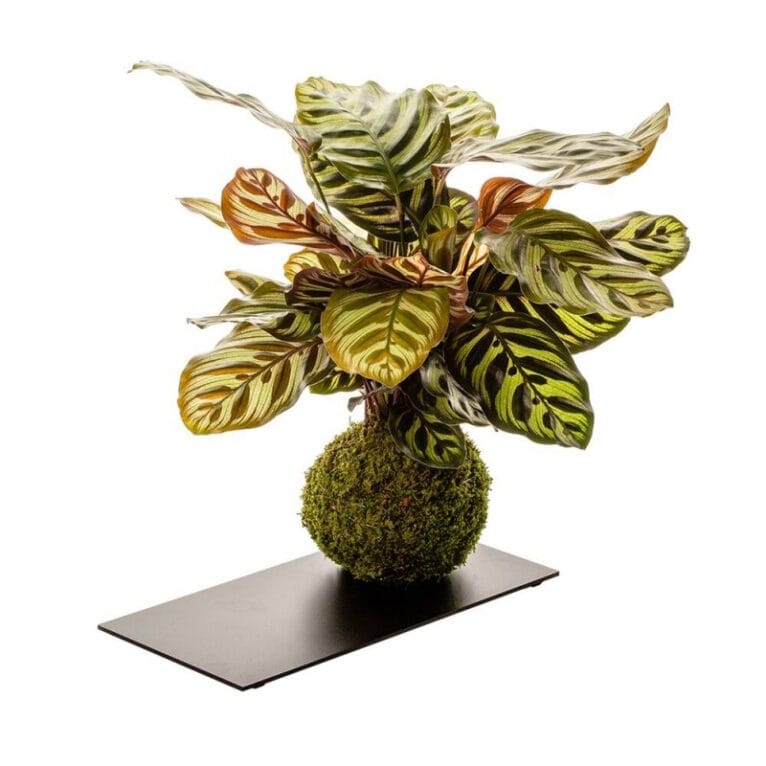 Ramos de flores con cesta de mimbre1