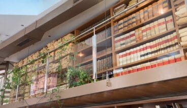 Dénia difunde el fondo documental de Vicent Balaguer en el Día Internacional de los Archivos: una ventana a la historia cultural y política de la ciudad 1 interior del arxiu municipal de denia