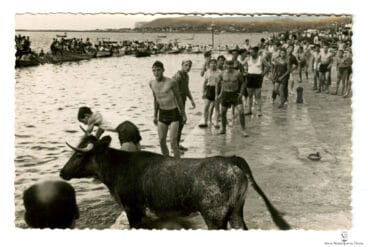 Postal de Bous a la Mar de Dénia | Arxiu Municipal
