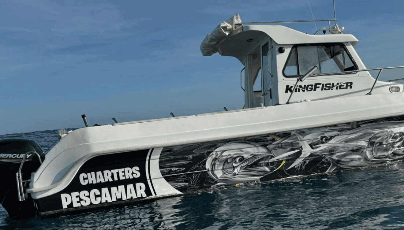 Vive aventuras en alta mar con emocionantes rutas y excursiones en barco