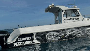 Vive aventuras en alta mar con emocionantes rutas y excursiones en barco