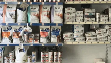 alimenta a tu mascota con los mejores ingredientes naturales para su salud y bienestar