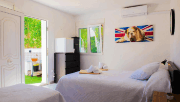 Descansa en esta habitación climatizada