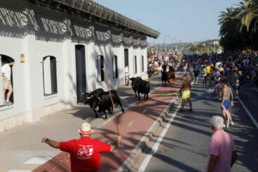 entrada de bous a la mar de denia de 2024 1