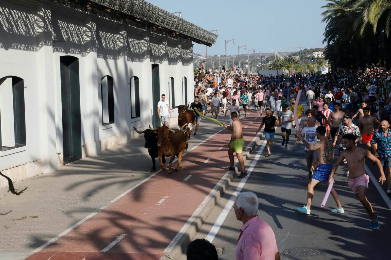Entrada de Bous a la Mar de Dénia de 2024 20