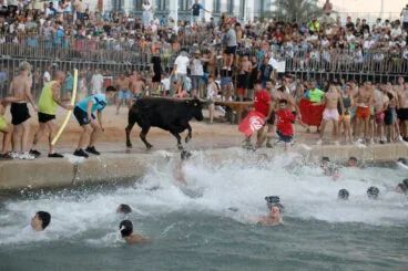 Entrada de Bous a la Mar de Dénia de 2024 33