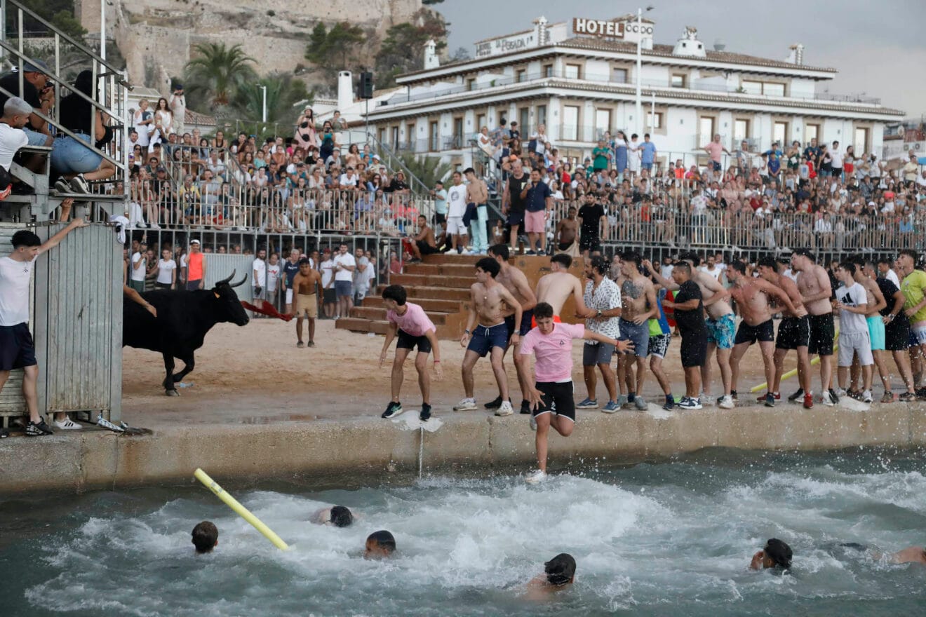 Entrada de Bous a la Mar de Dénia de 2024 34