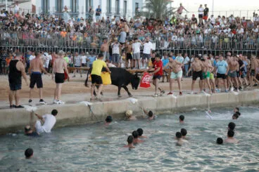 Entrada de Bous a la Mar de Dénia de 2024 37