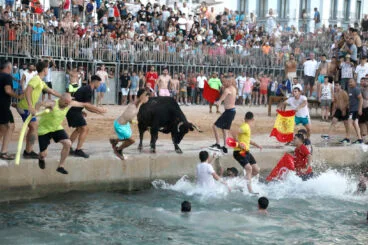 Entrada de Bous a la Mar de Dénia de 2024 39