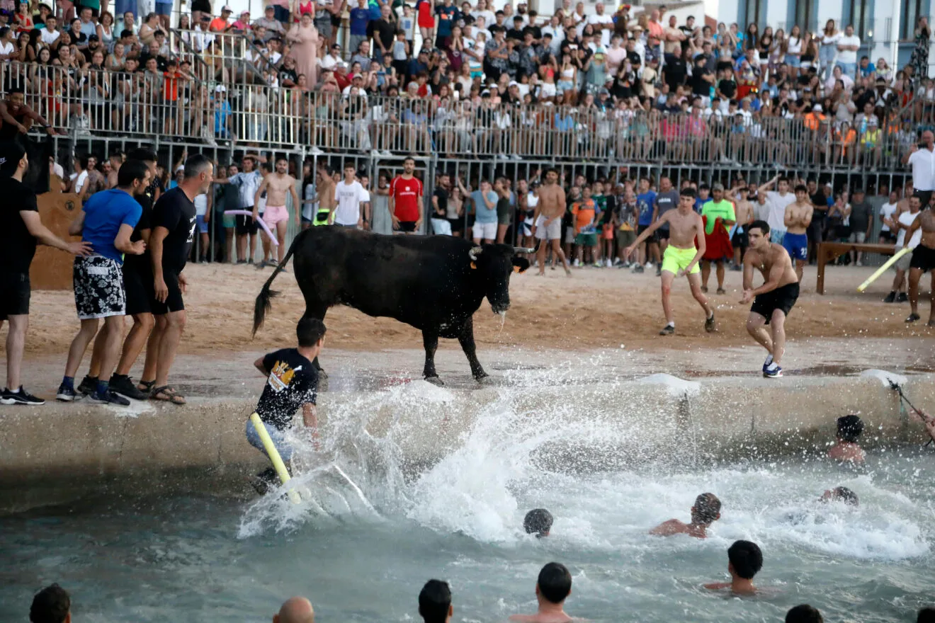 Entrada de Bous a la Mar de Dénia de 2024 43