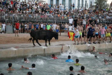 Entrada de Bous a la Mar de Dénia de 2024 44