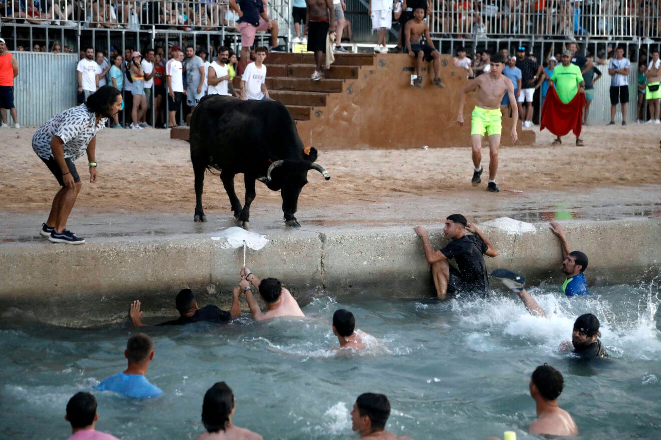 Entrada de Bous a la Mar de Dénia de 2024 46