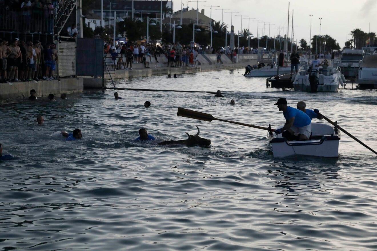 Entrada de Bous a la Mar de Dénia de 2024 49