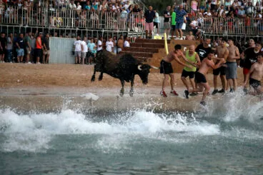 Entrada de Bous a la Mar de Dénia de 2024 52
