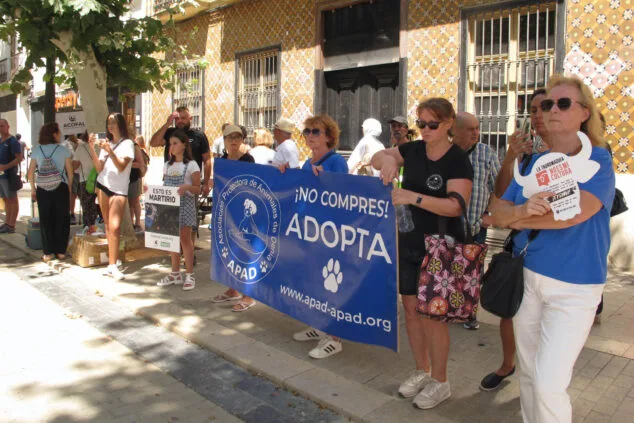 Un centenar de personas se manifiestan contra los Bous a la Mar en Dénia 2 manifestacion antitaurina en denia 1