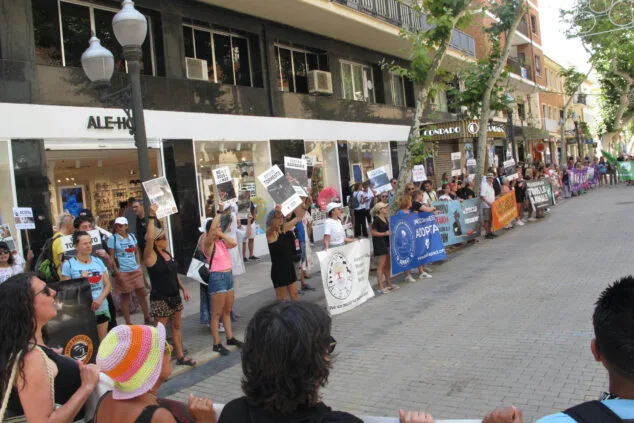 Un centenar de personas se manifiestan contra los Bous a la Mar en Dénia 16 manifestacion antitaurina en denia 16