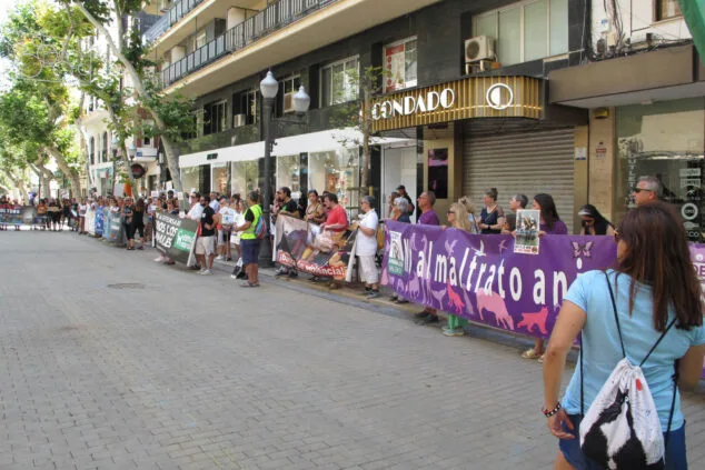 Un centenar de personas se manifiestan contra los Bous a la Mar en Dénia 17 manifestacion antitaurina en denia 17