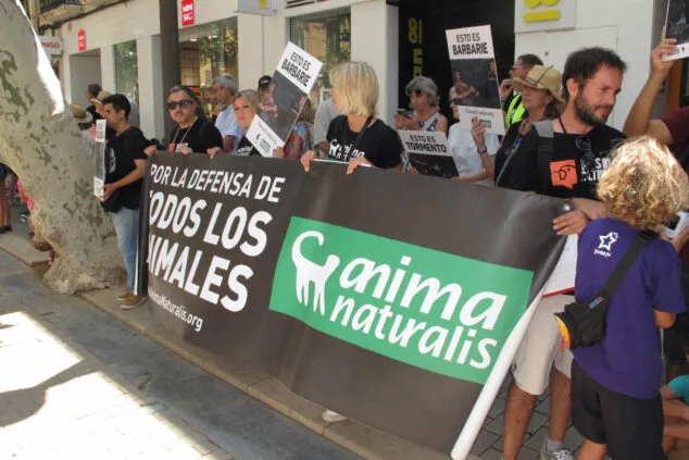 Un centenar de personas se manifiestan contra los Bous a la Mar en Dénia 6 manifestacion antitaurina en denia 5