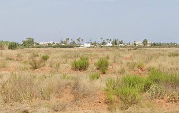 Terreno sin cultivar en Dénia. Google Maps.